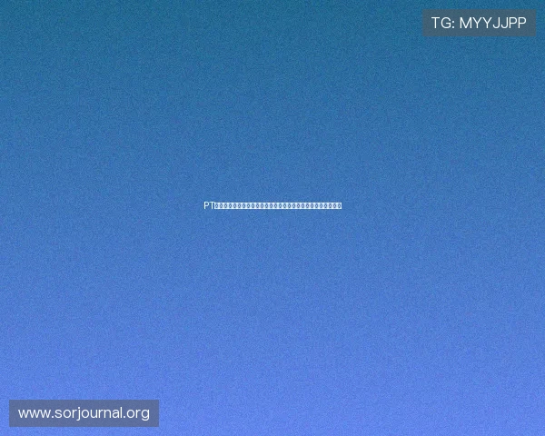 PT电游安全指南与防作弊措施详解保障玩家权益享受公平游戏环境